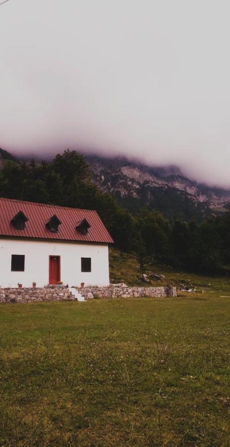 Guesthouse Freskia Theth Exterior foto